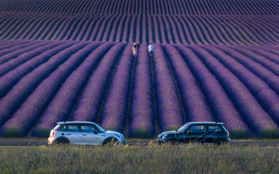 魅力迷你MINI Mayfield Editio，MINI薰衣草紫色調特仕版，限量魅惑登場